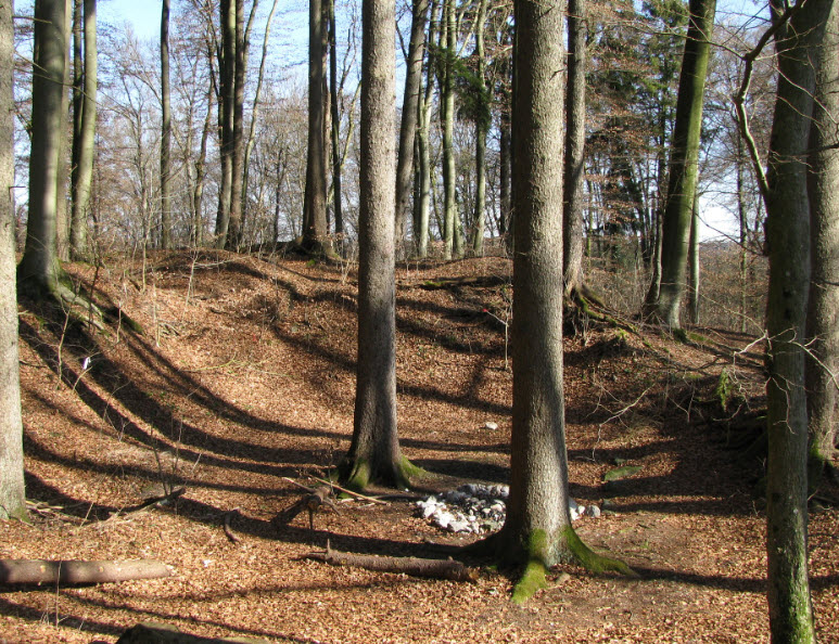 Burgstall Buchhorn, Michelbach an der Bilz, Germany, Germany